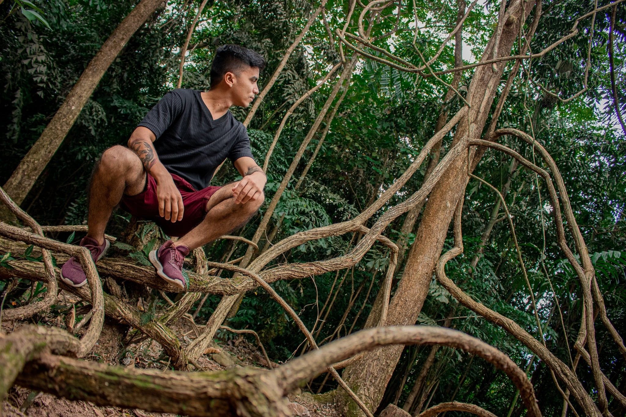 Una persona sentada en una rama de árbol en un área boscosa.