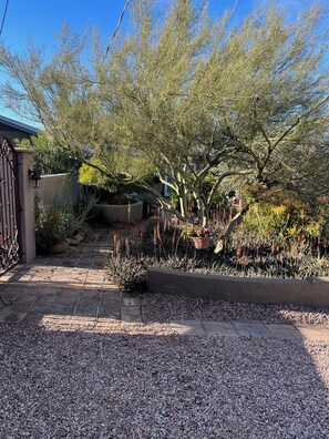 A garden with a gravel pathway leading to a gate, surrounded by various plants and trees. - Come for the Quiet......Stay for the Luxurious Amenities and the convenience (Apache Junction)
