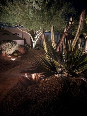 A nighttime garden with various plants and a pathway. - Come for the Quiet......Stay for the Luxurious Amenities and the convenience (Apache Junction)