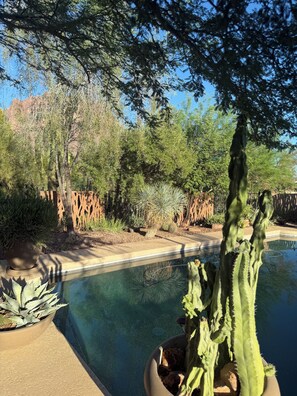 A pool surrounded by various cacti and desert plants, with a clear blue sky above. - Come for the Quiet......Stay for the Luxurious Amenities and the convenience (Apache Junction)