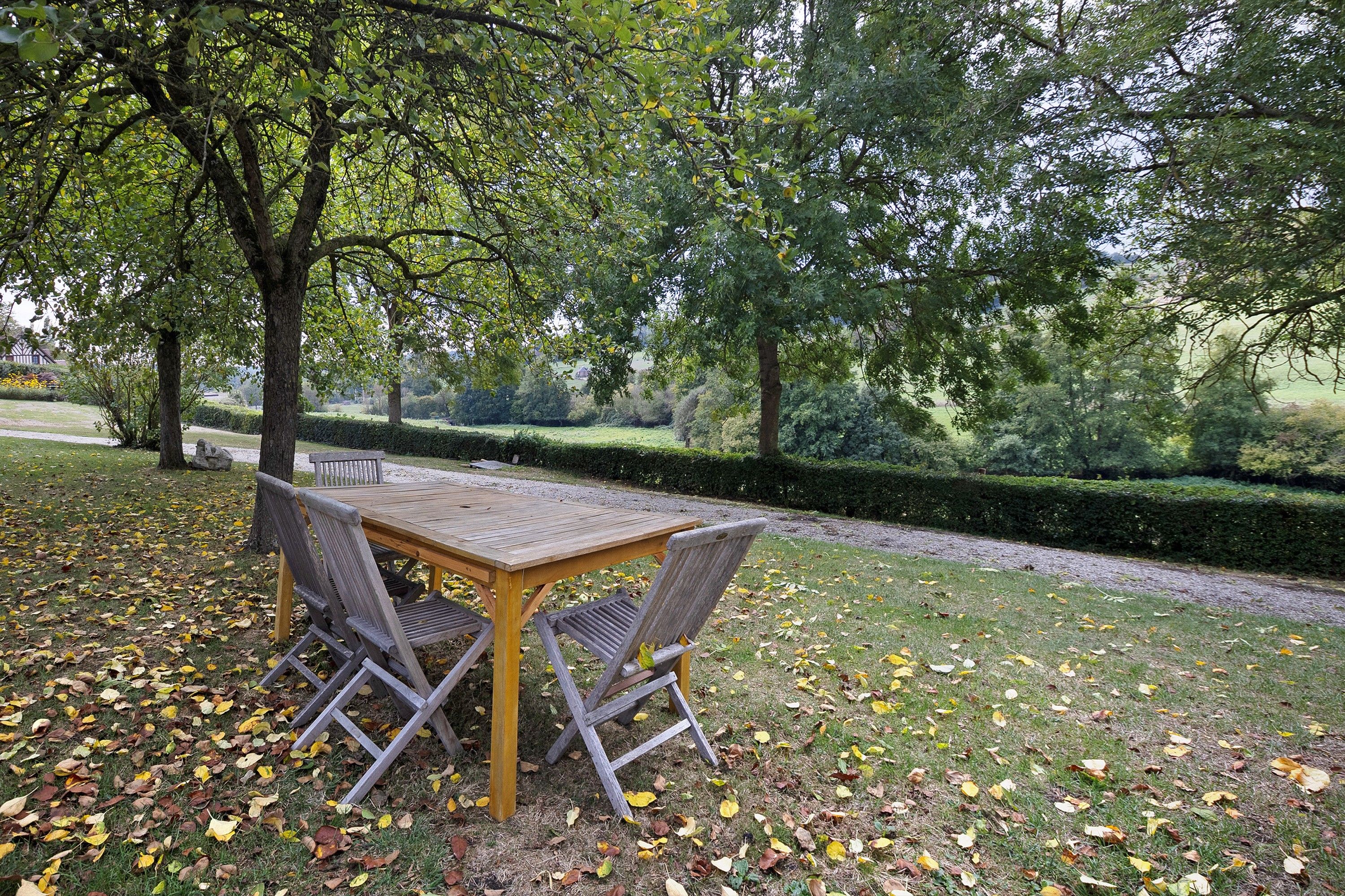 Una mesa de madera al aire libre con sillas de metal, rodeada de césped y hojas secas.