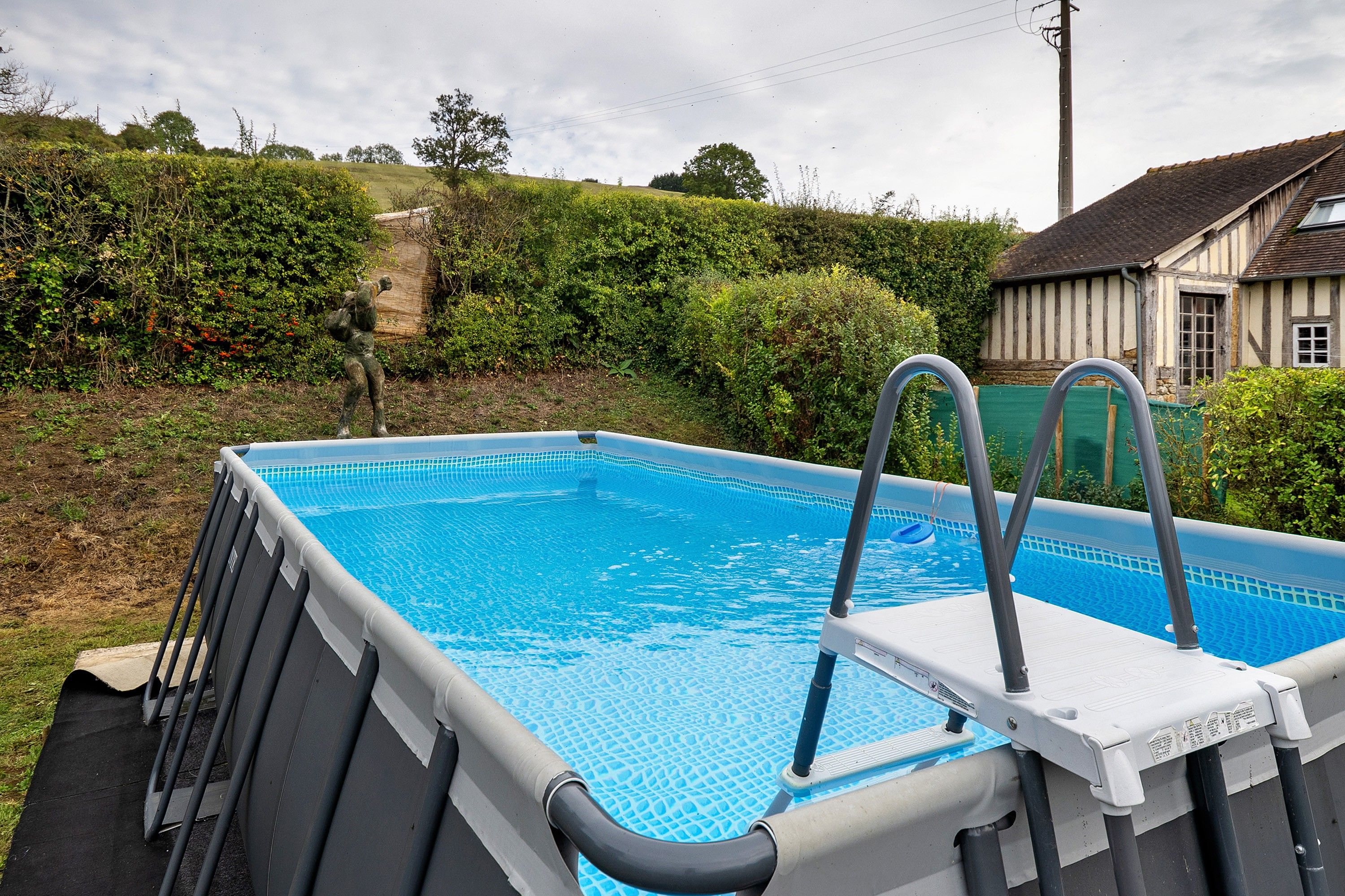 Una piscina rectangular con una escalera en un lateral, rodeada de césped y un seto.