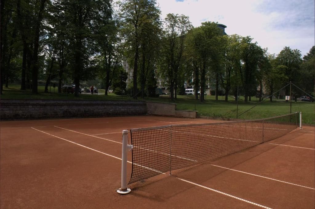 Ein Tennisplatz mit Netz, umgeben von Bäumen und einer Rasenfläche.