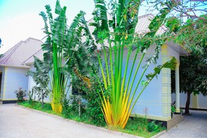 Zona residencial amb filera d'alberes de plàtan altes i una casa amb teulada de làmina metàl·lica.