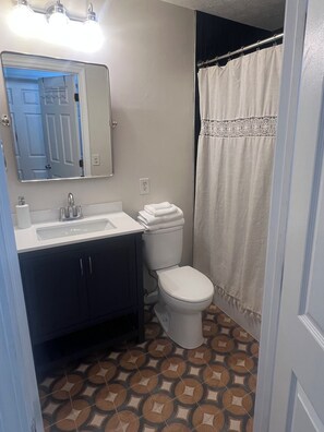 A bathroom with a sink, mirror, toilet, and shower curtain. - The Heritage Home, Walk to Downtown (Auburn)