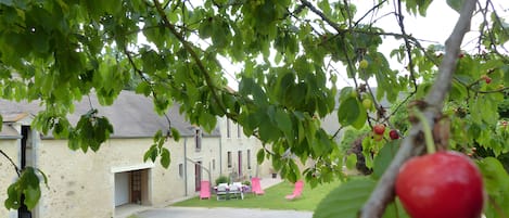 A residential area with a house, a driveway, and a tree with red fruits.