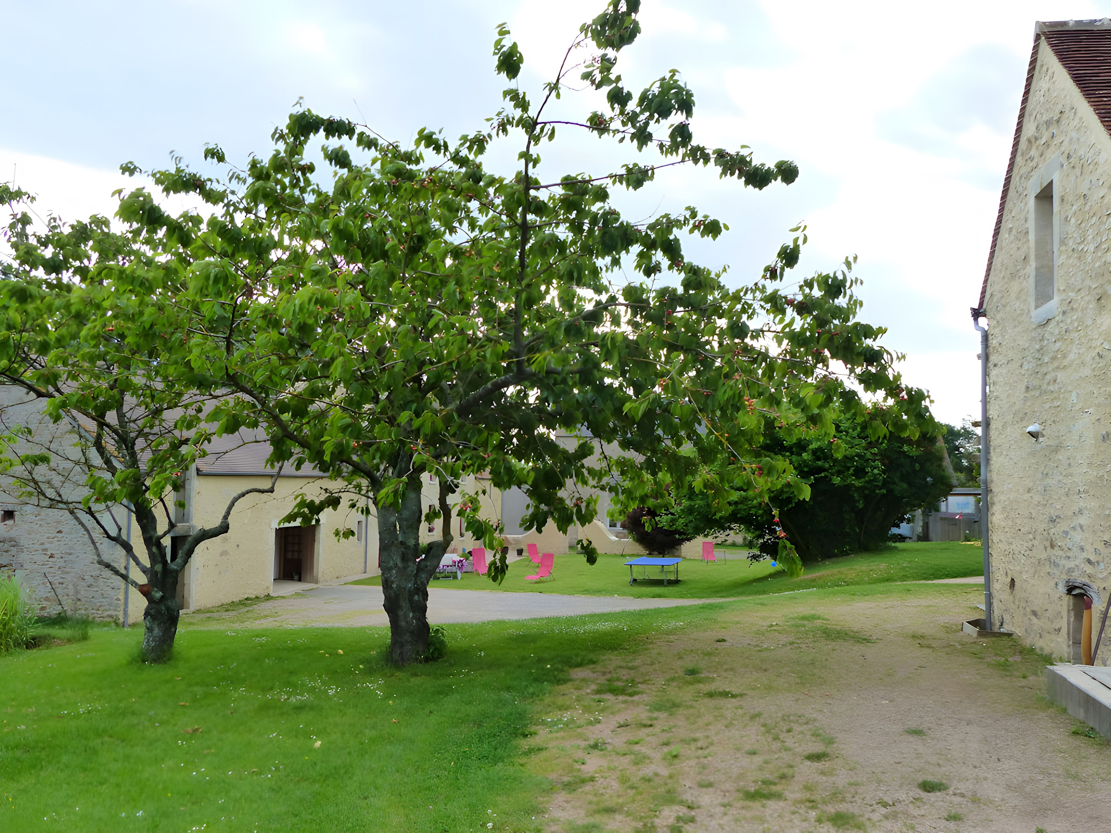 A tree-lined courtyard with a building on one side.