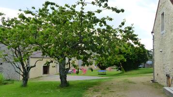 A tree-lined courtyard with a building on one side.