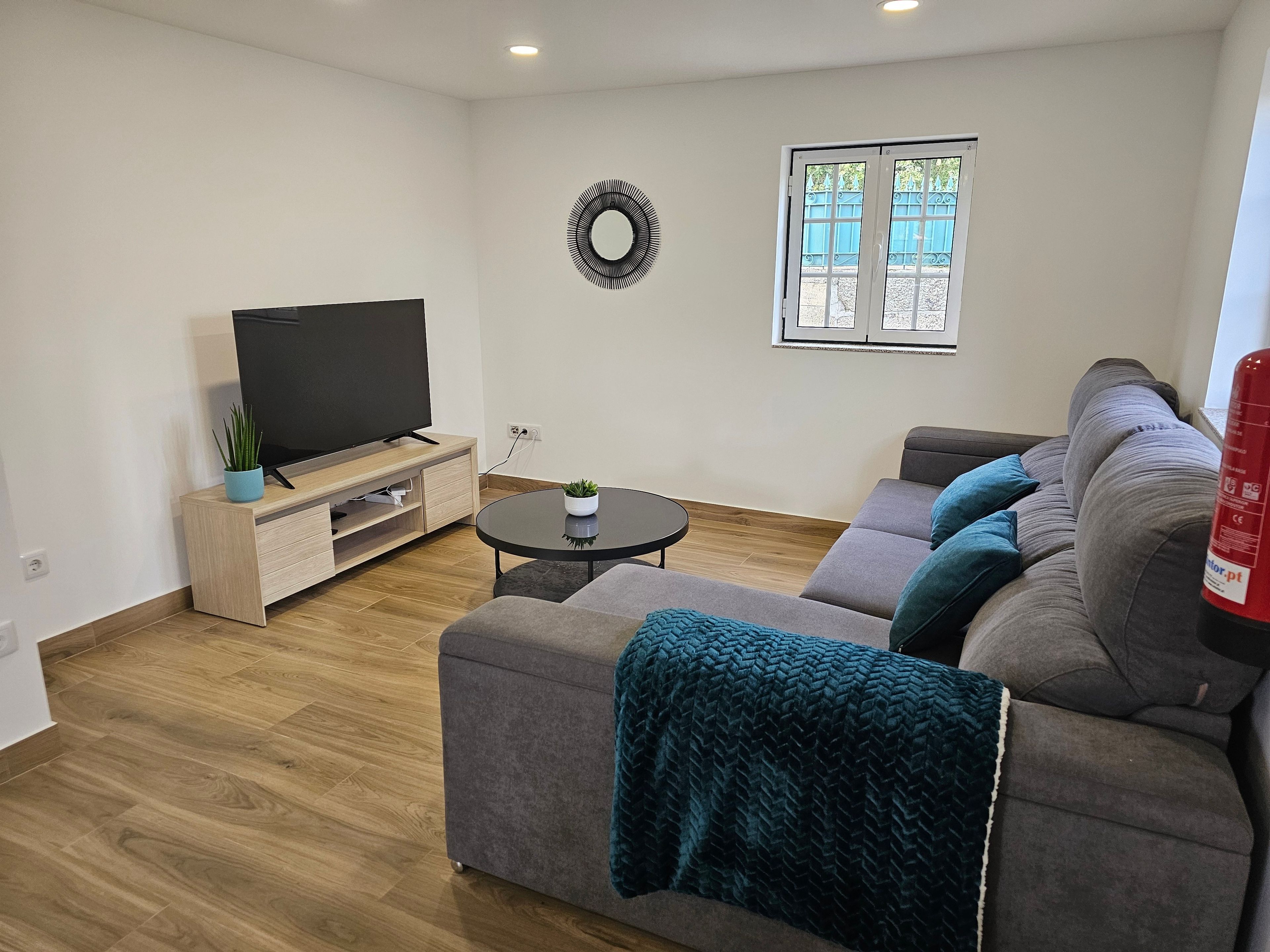 A modern living room with a flat-screen TV, a sofa, a coffee table, and a small potted plant.