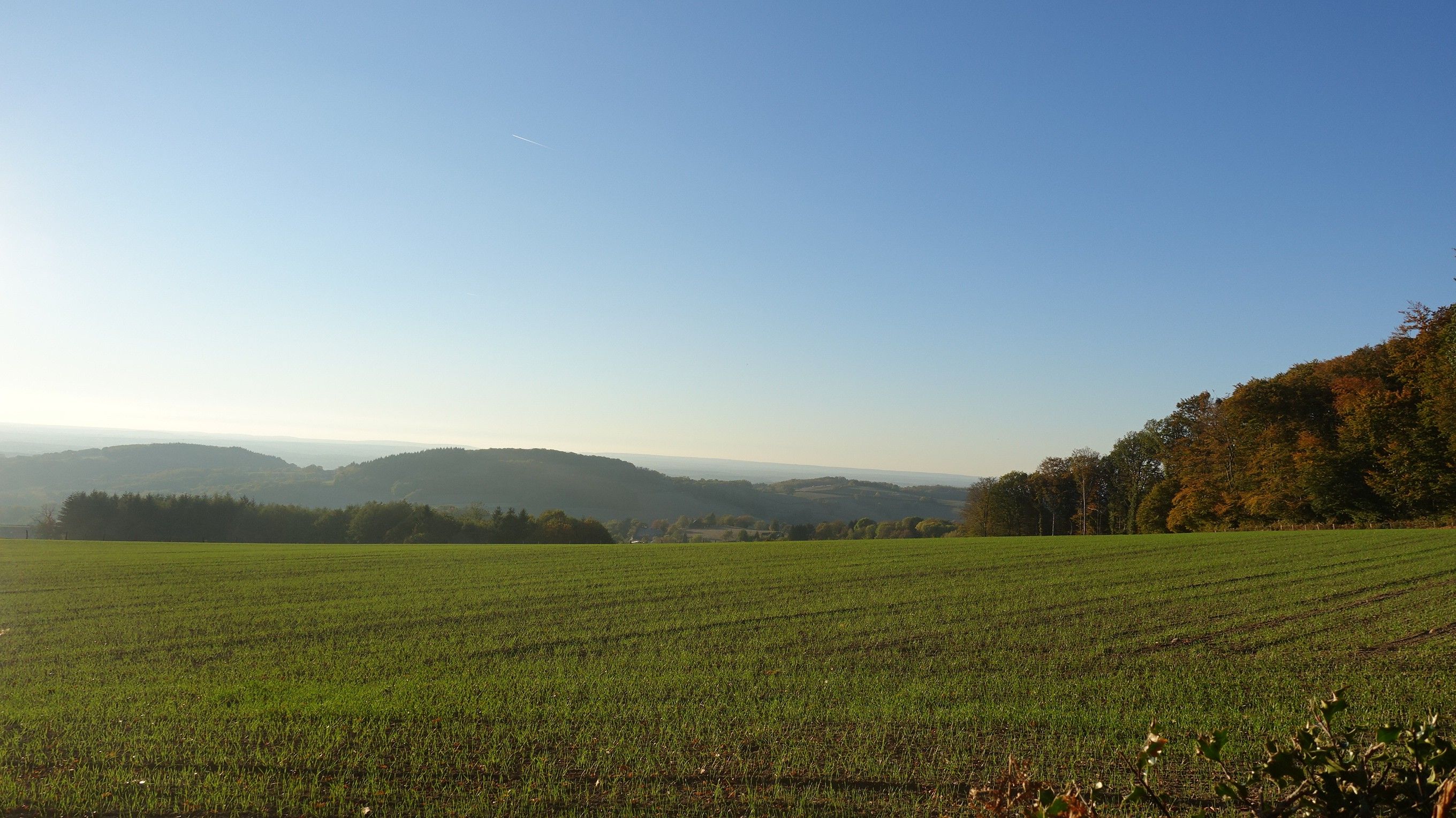 Un vaste champ verdoyant, sous un ciel dégagé, avec des collines qui se dessinent à l'horizon.