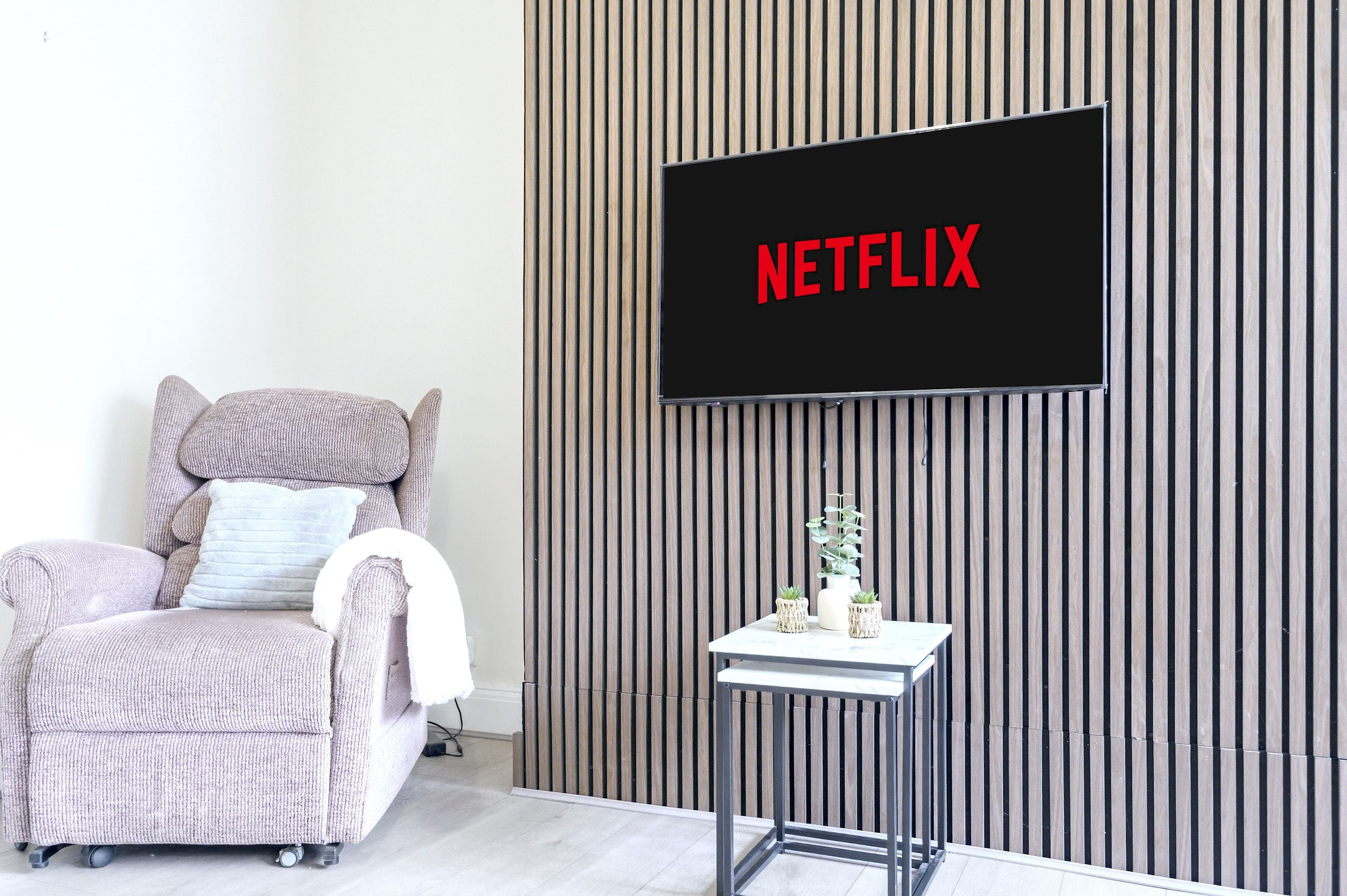 A modern living room with a sofa, a small table with plants, and a wall-mounted TV displaying 'NETFLIX'.