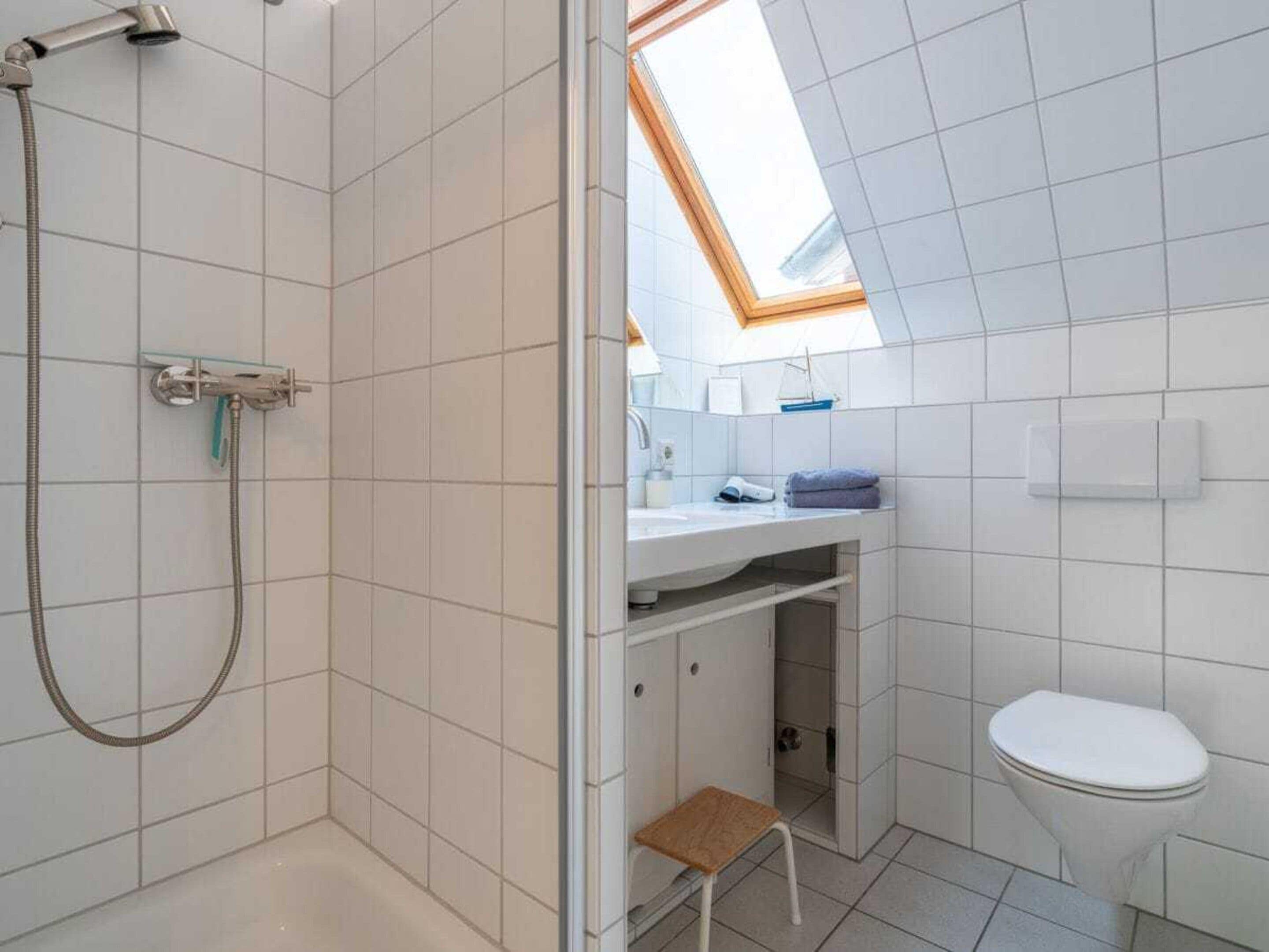 A bathroom with a shower, toilet, and skylight.