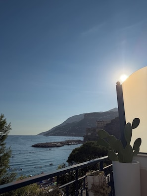 A coastal view with a clear sky, a sun setting or rising near the horizon, and a cactus plant in the foreground. - Rooftop Infinity Room with Ocean View (Maiori)