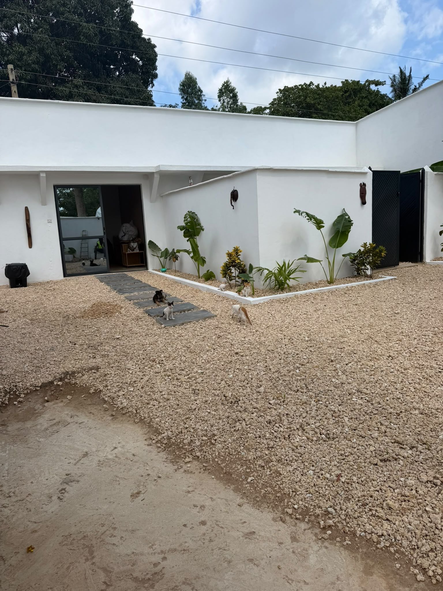 A modern building with a gravel driveway, a door, and a small garden area with plants.