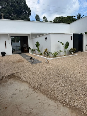 A modern building with a gravel driveway, a door, and a small garden area with plants.