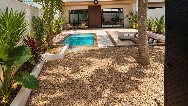 A modern outdoor pool area with a clear sky, surrounded by tropical plants and a white building with large windows.