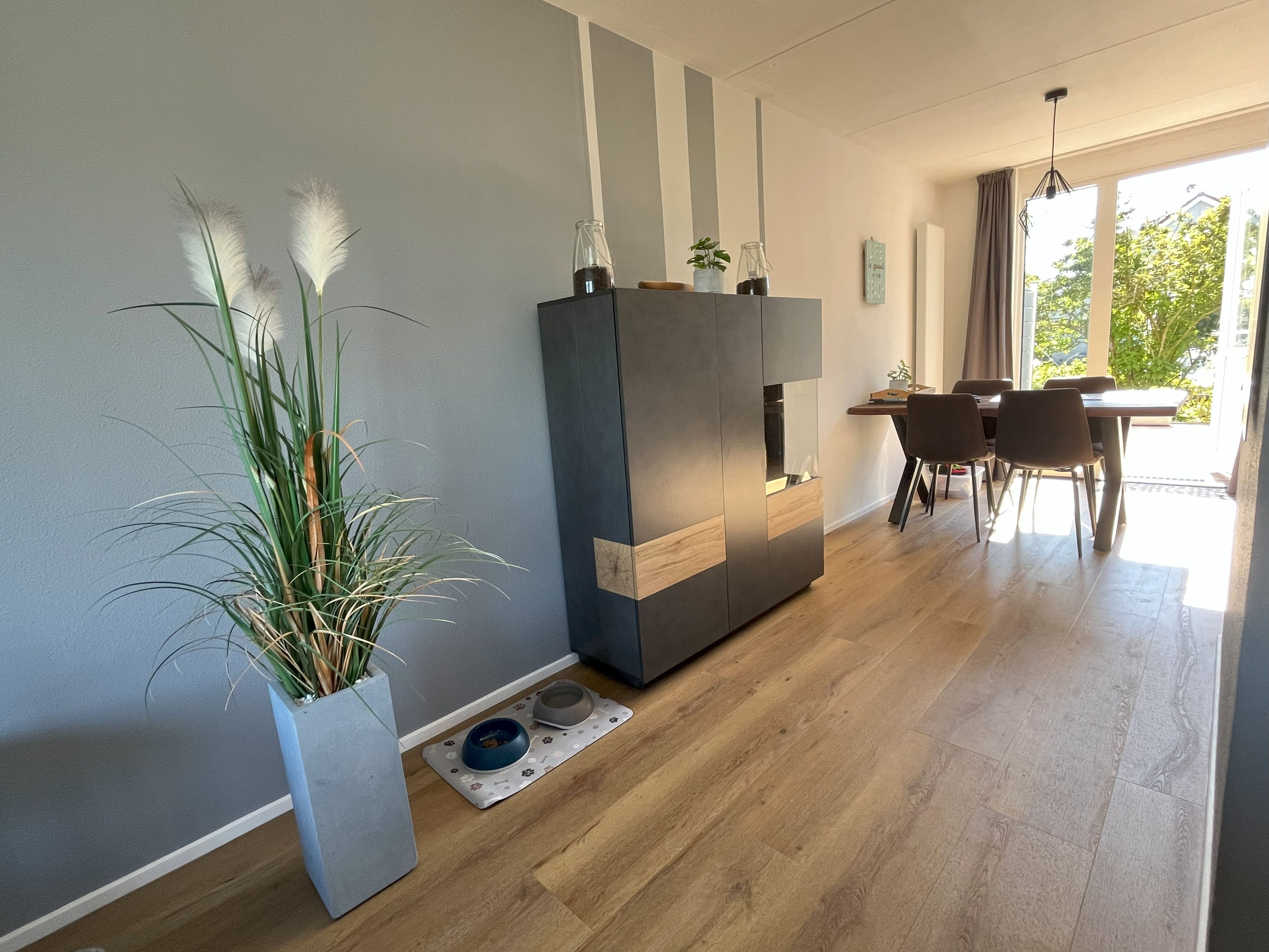 A modern living room with a dining area, a large potted plant, and a pet feeding station.