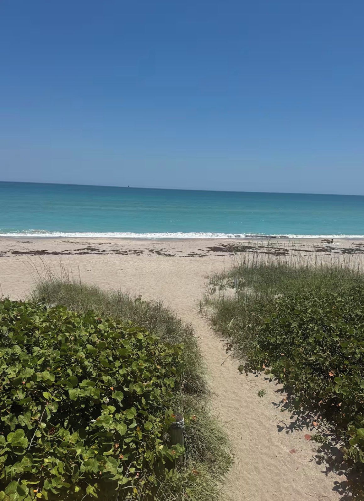 A beach with a clear sky, a sandy path leading to the water, and green vegetation in the foreground.