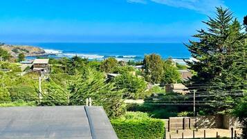 A coastal residential area with a view of the ocean, houses, and greenery.