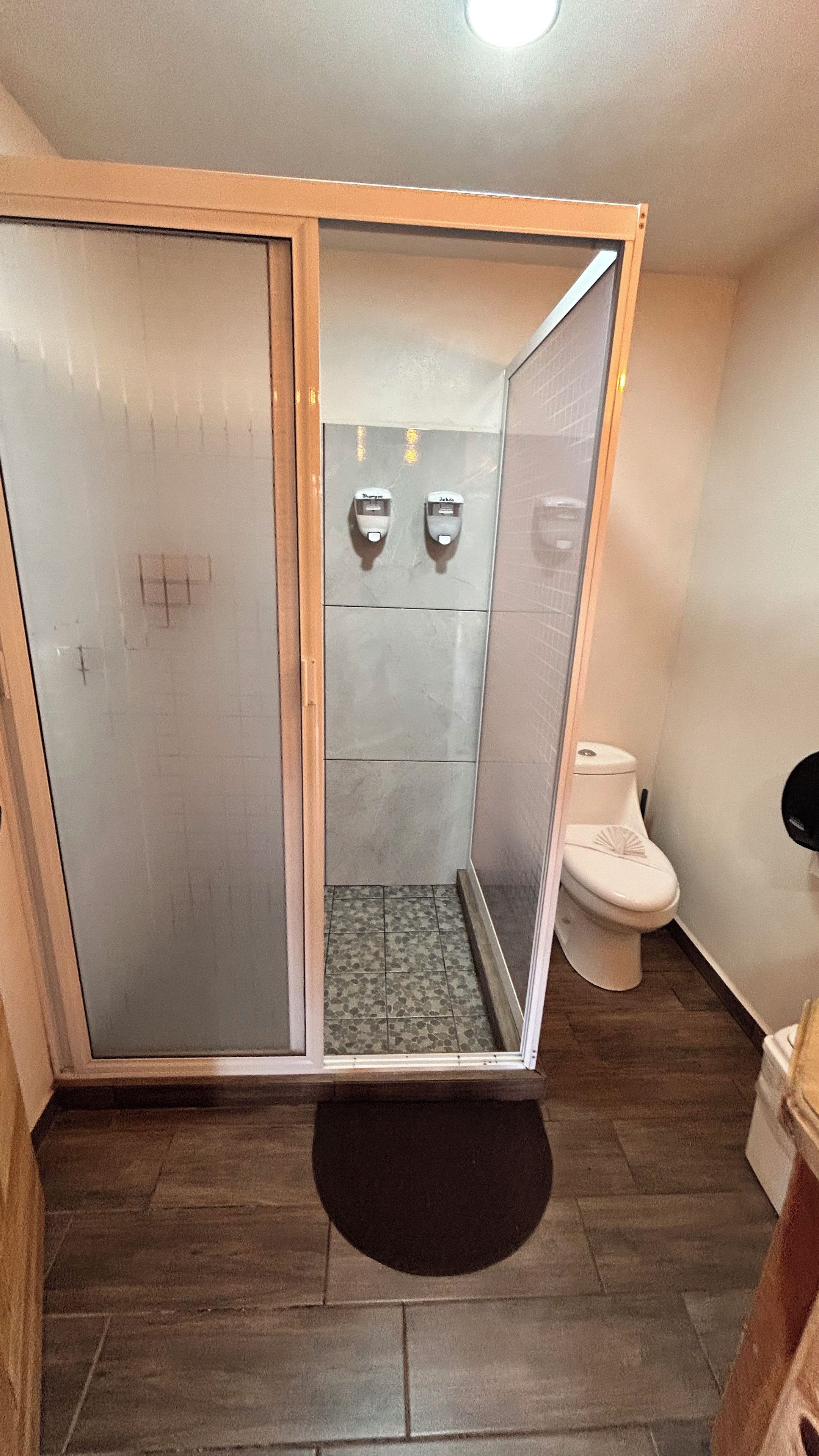 Un box de ducha con puerta de vidrio, un inodoro y un lavamanos.