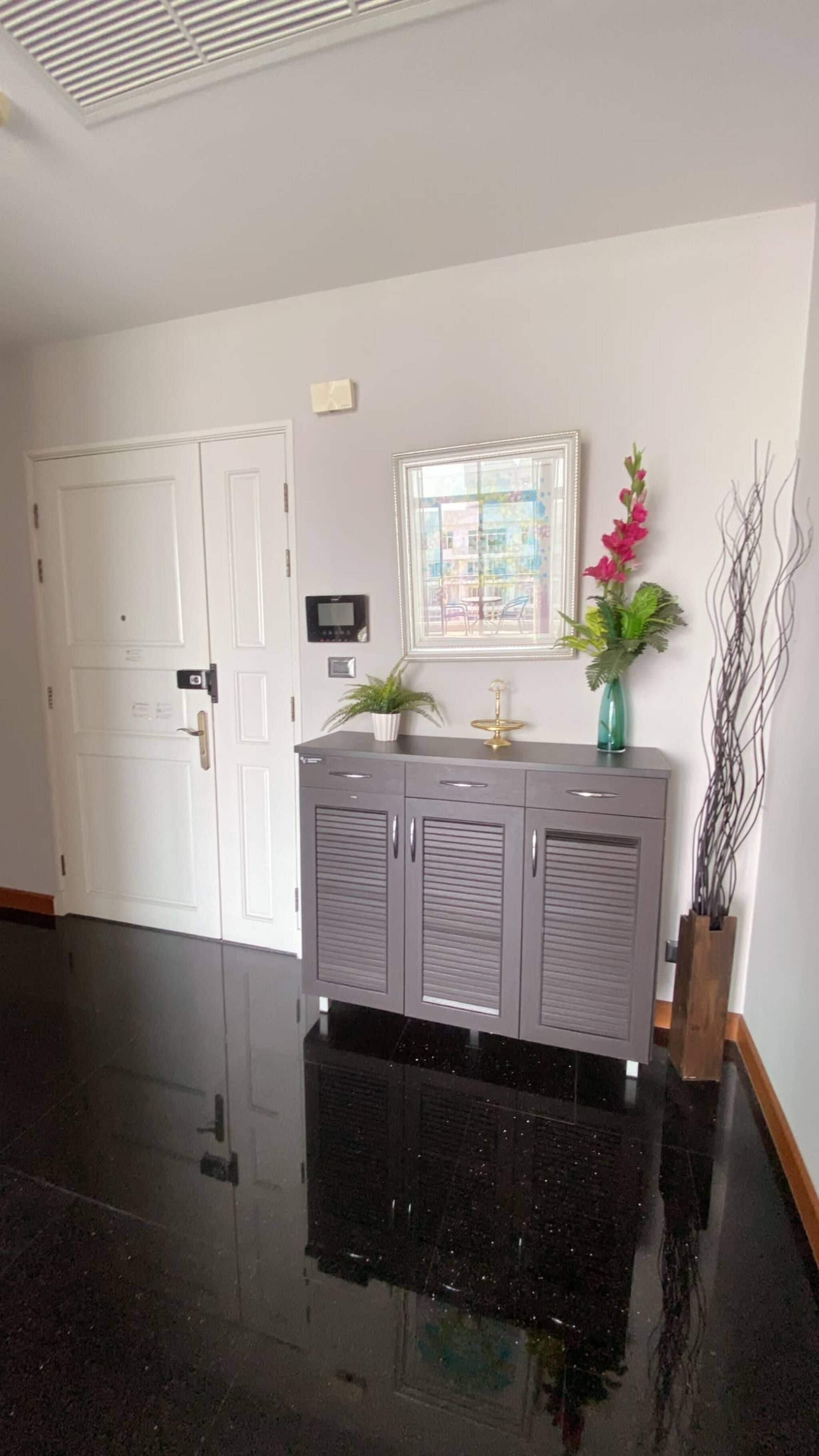 Um corredor com piso de azulejos pretos, um armário cinza com uma pequena planta, um quadro na parede e uma porta branca.