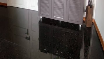 A hallway with a black tiled floor, a grey cabinet with a small plant, a framed picture on the wall, and a white door.