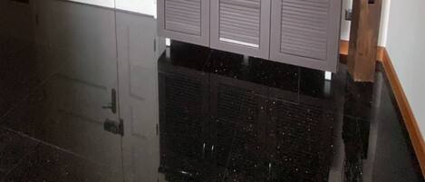 Un pasillo con piso de baldosas negras, un gabinete gris con una planta pequeña, un cuadro en la pared y una puerta blanca.