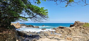 A rocky coastline with waves crashing against the shore, a clear blue sky, and a tree with green leaves. - COOND0126 - Beach Class Salvador (Salvador)