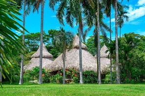 Ein tropisches Resort mit strohgedeckten Hütten, umgeben von üppiger Vegetation und hohen Palmen.
