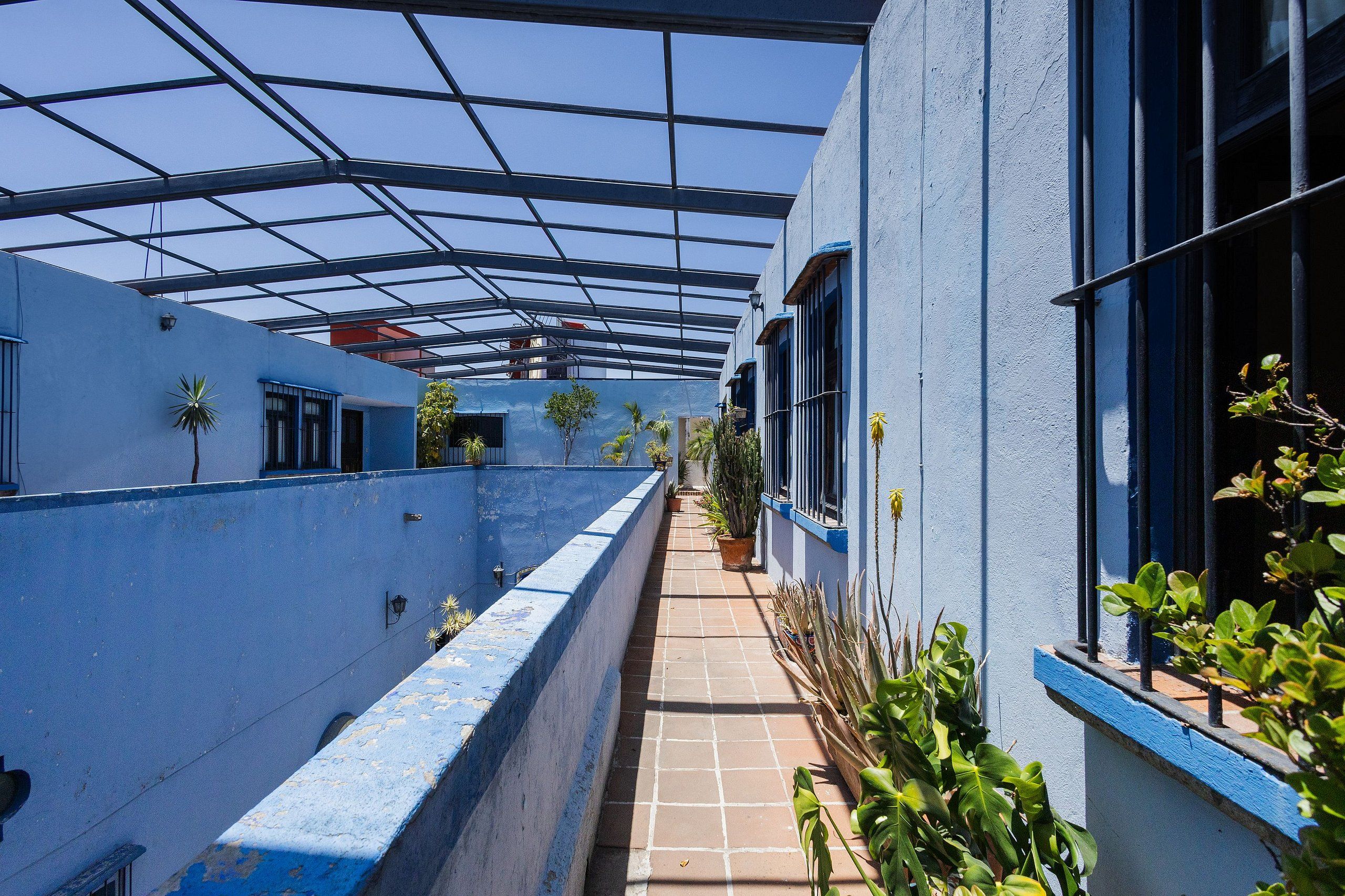A covered outdoor corridor with blue walls, potted plants, and a tiled floor.