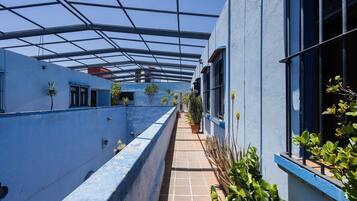 A covered outdoor corridor with blue walls, potted plants, and a tiled floor.