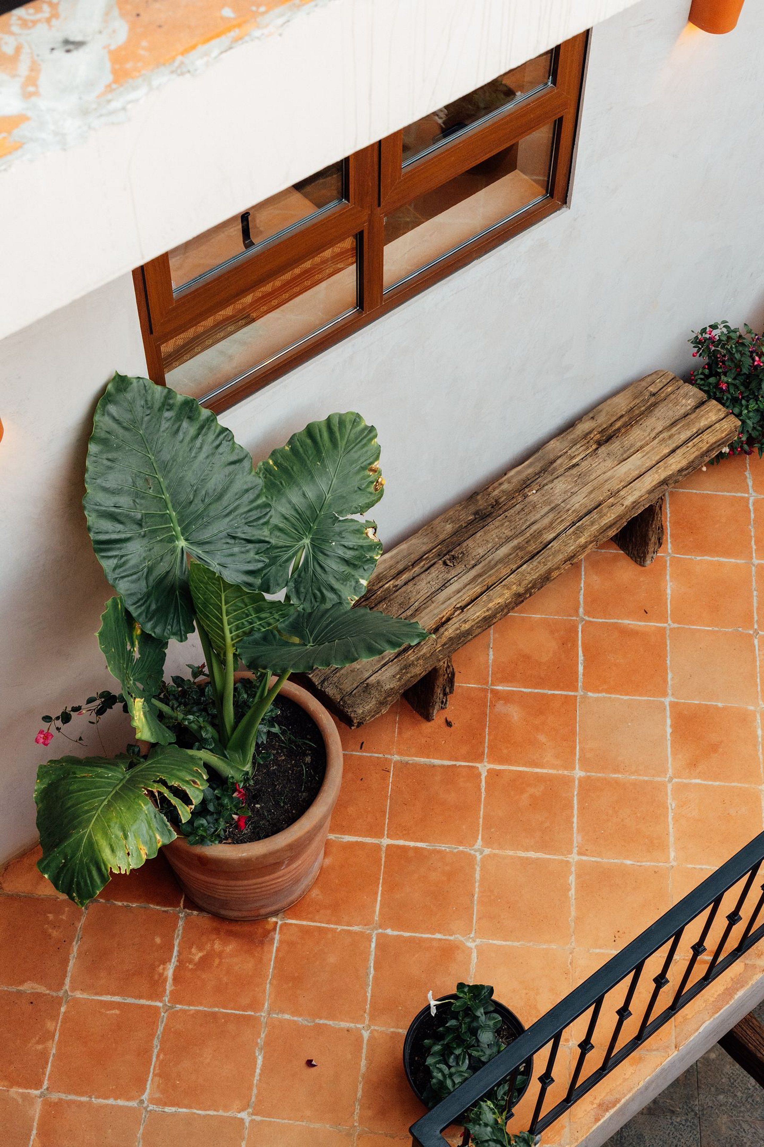 A terracotta-tiled floor with a wooden bench and a potted plant.