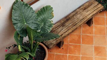 A terracotta-tiled floor with a wooden bench and a potted plant.