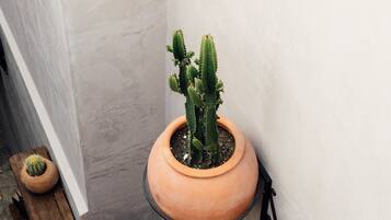 A terracotta pot with a cactus on a black metal stand against a white wall.