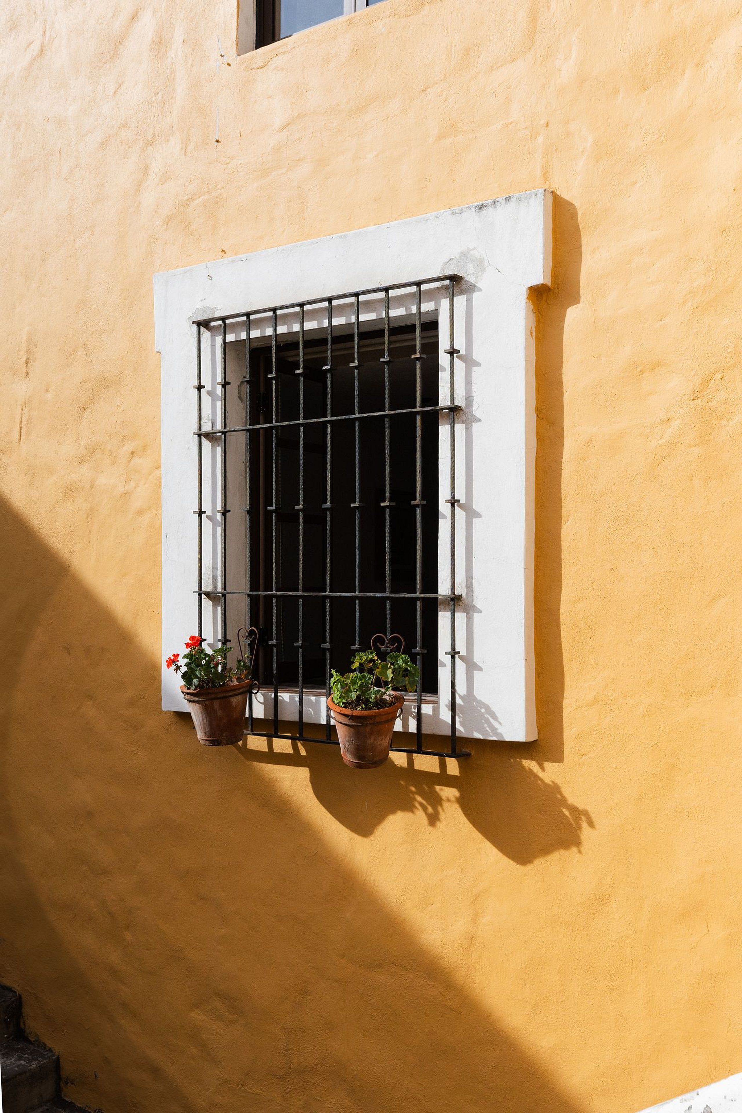A window with metal bars, two potted plants, and a white frame.