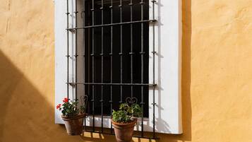 A window with metal bars, two potted plants, and a white frame.