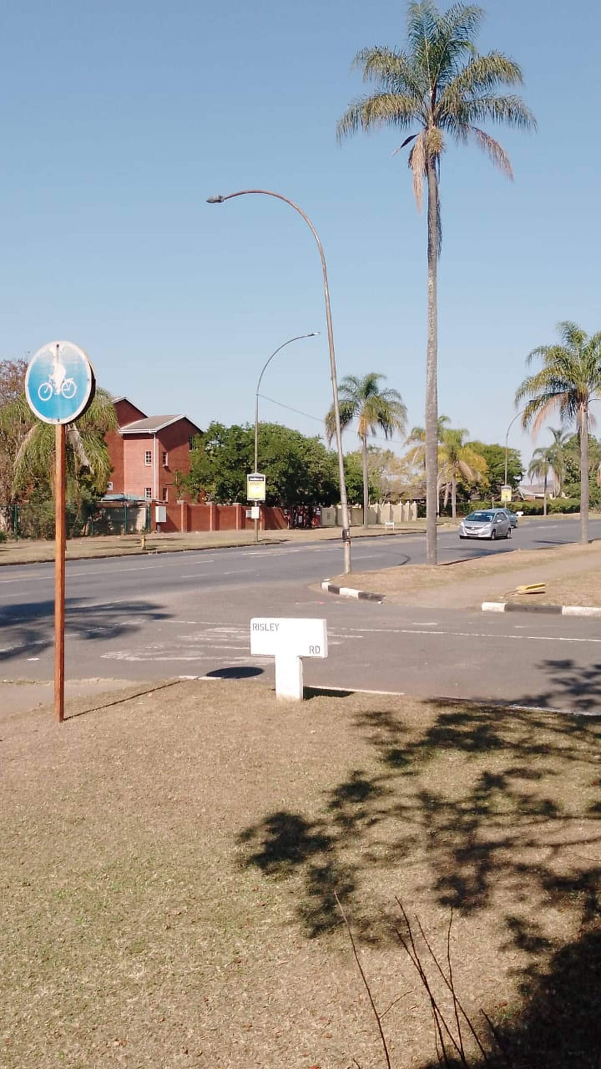 Vista callejera con un cartel de bicicleta, un letrero de 'RISLEY RD' y palmeras.
