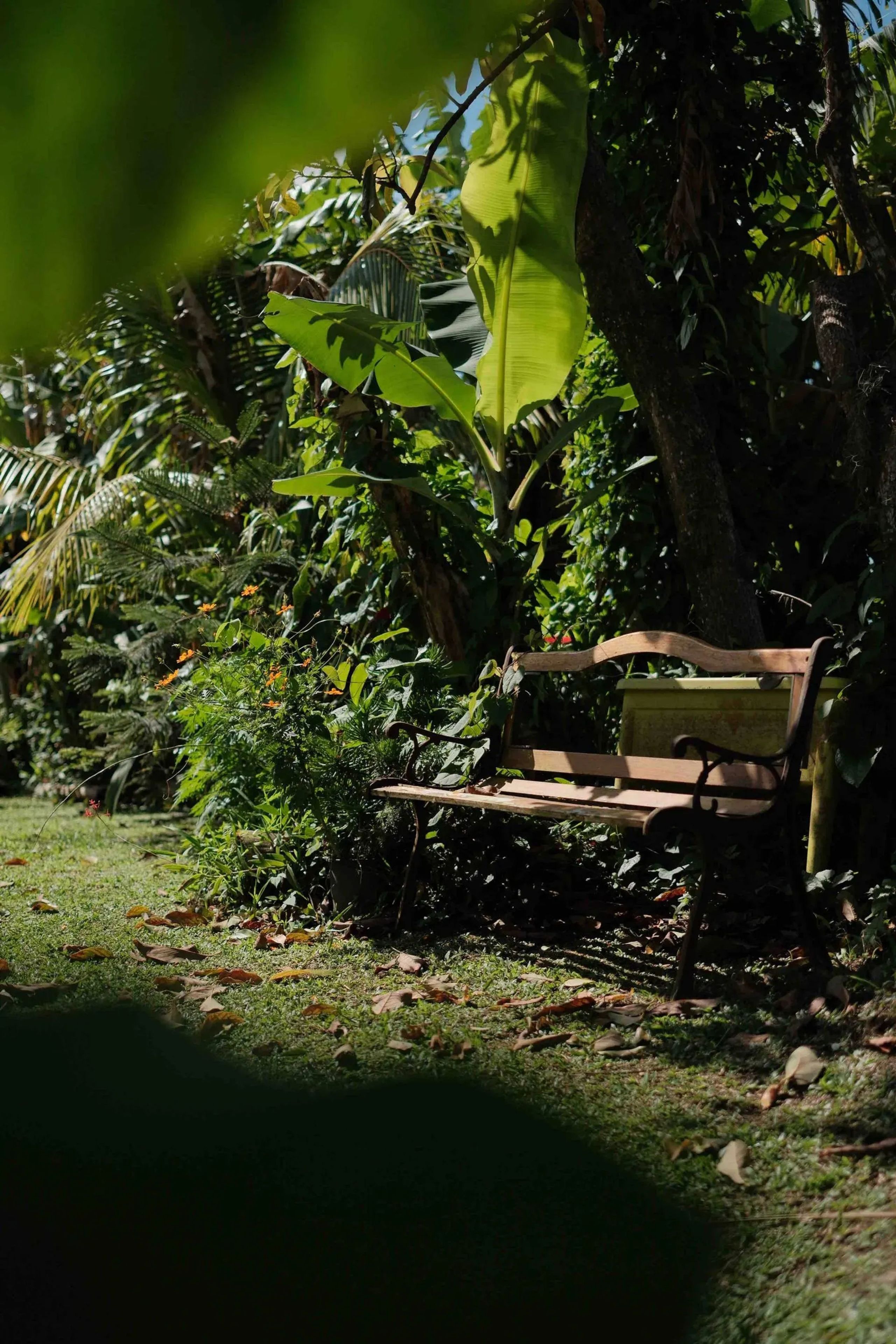 Jardin