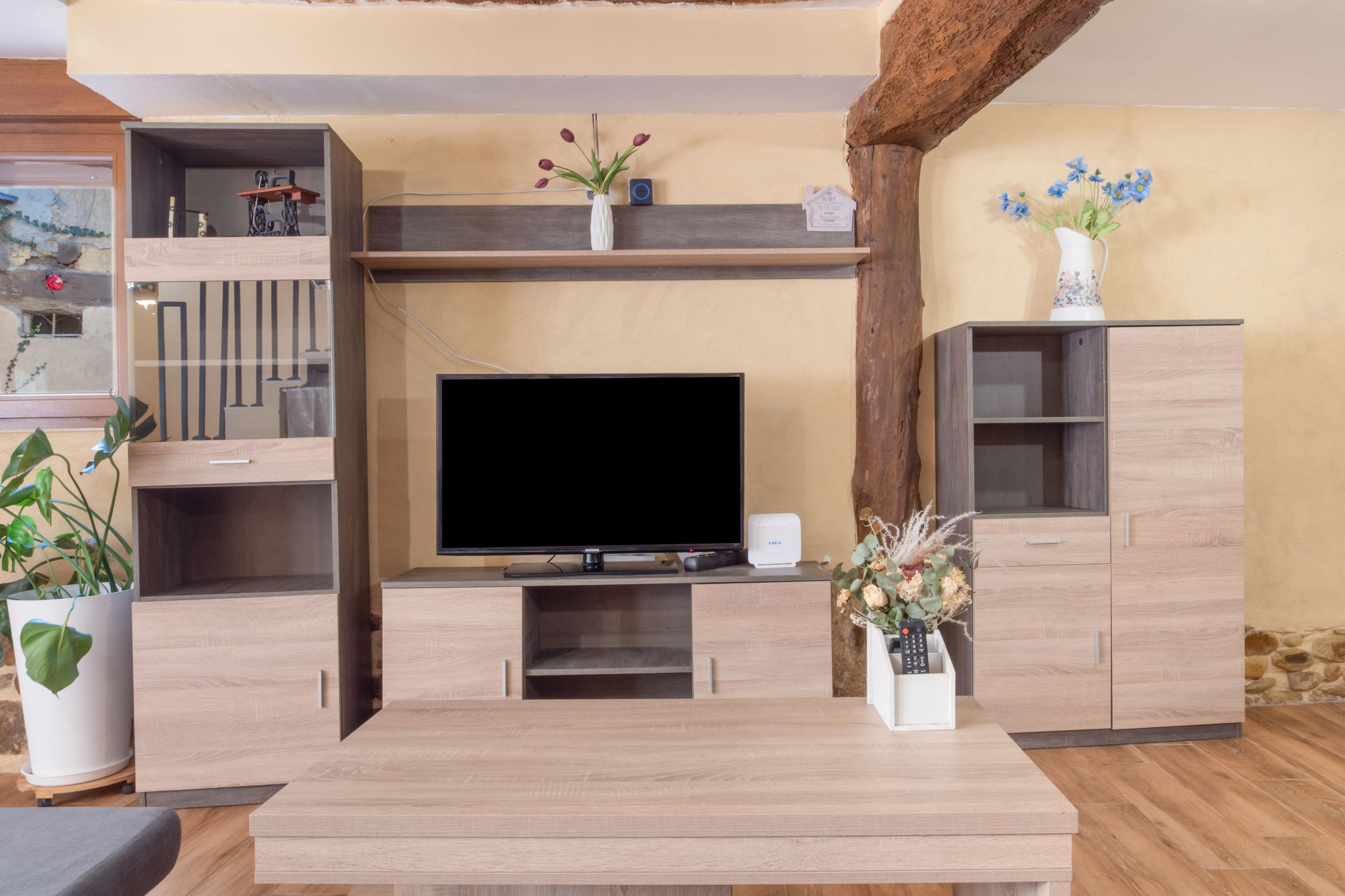 Un salon moderne avec un téléviseur à écran plat, des meubles en bois et des plantes en pot.