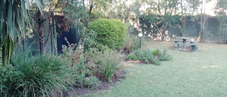 Un jardín con diversas plantas y una mesa de picnic.