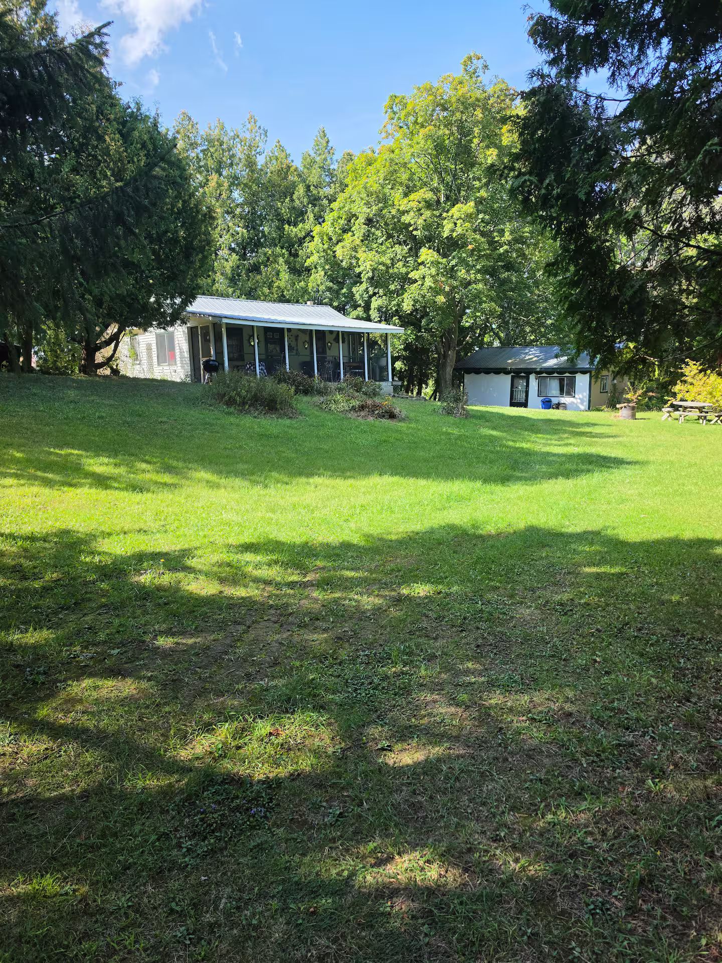 A house with a porch and a small shed in a grassy yard.