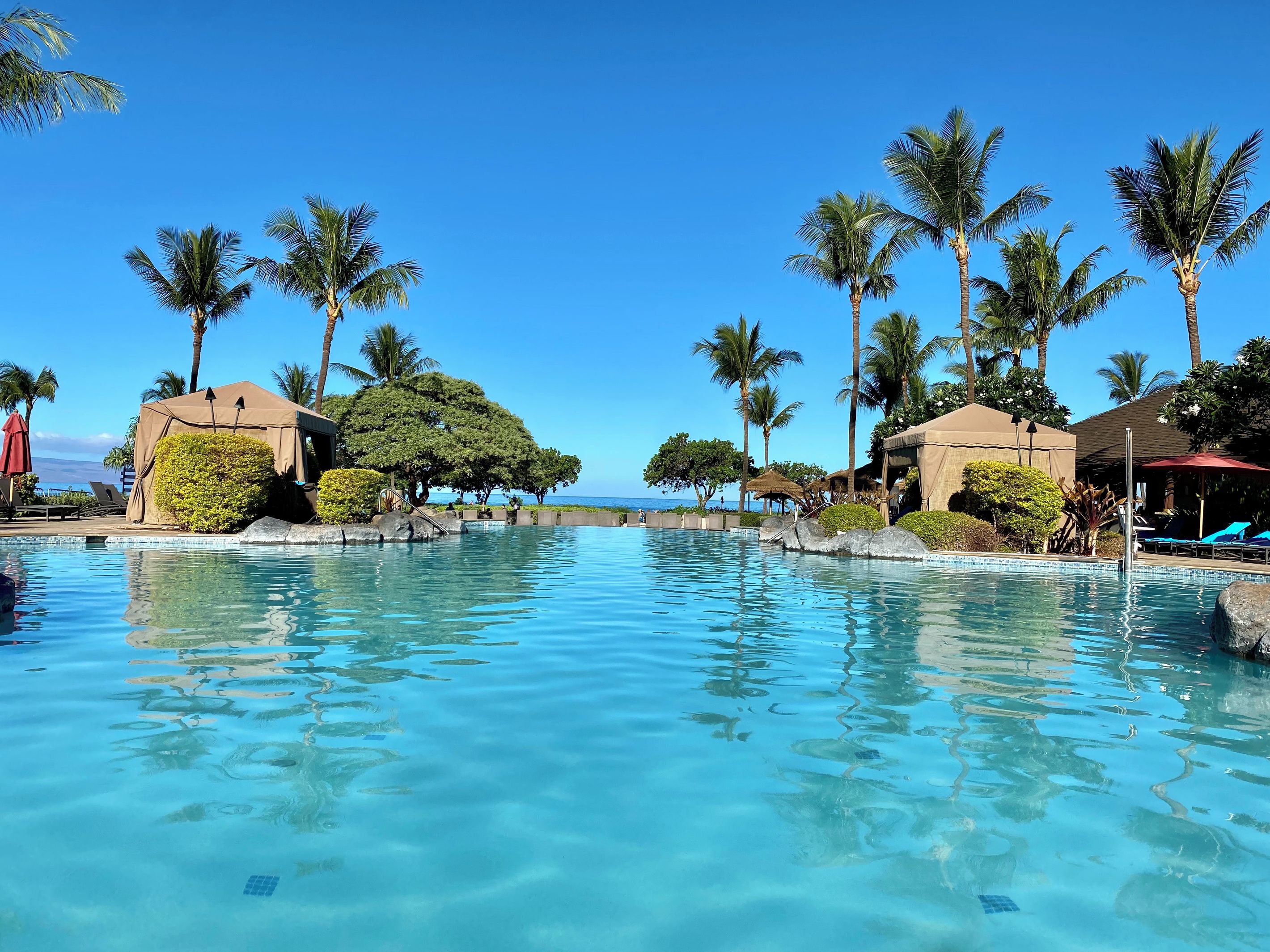 A clear blue pool surrounded by palm trees and covered structures, with a view of the ocean in the background.