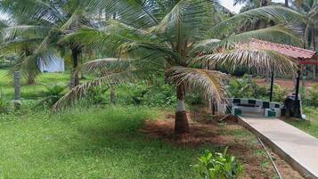 A garden with palm trees, a concrete pathway, and a small structure with a red roof.