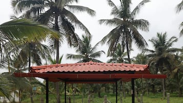 A covered outdoor area with a concrete pathway leading to a circular seating area, surrounded by greenery and palm trees.