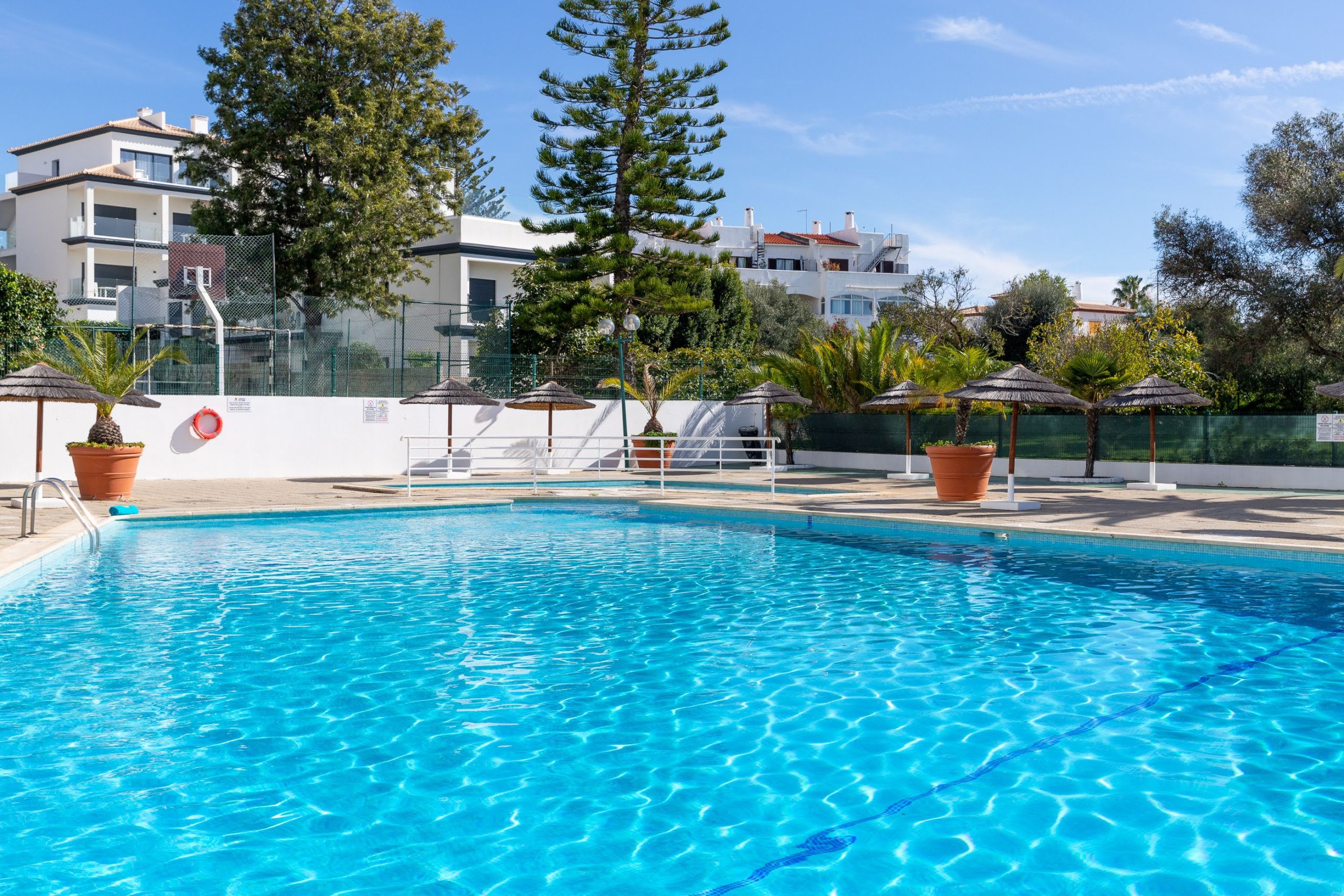 A swimming pool with clear blue water, surrounded by potted plants and umbrellas, with buildings in the background.