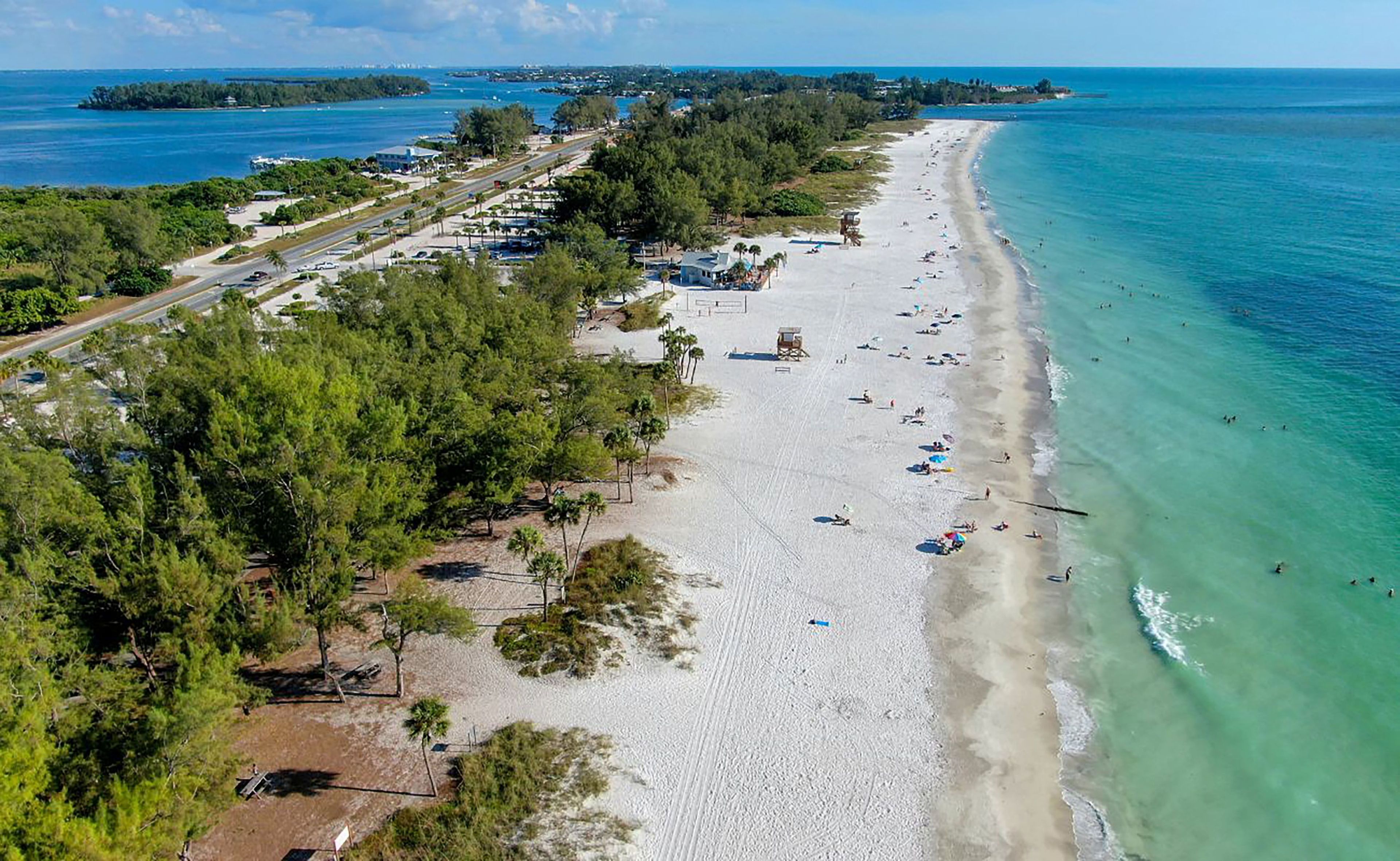 A beach with a road running parallel to it, surrounded by trees and a clear view of the ocean.