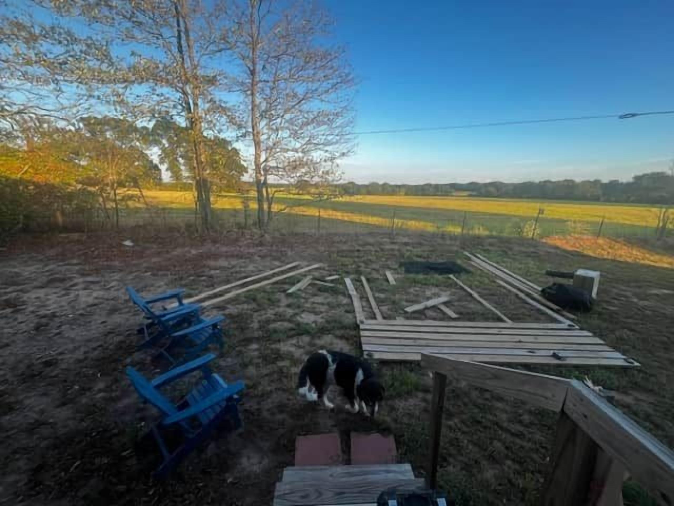 A rural outdoor area with a wooden structure, a blue chair, and a dog.