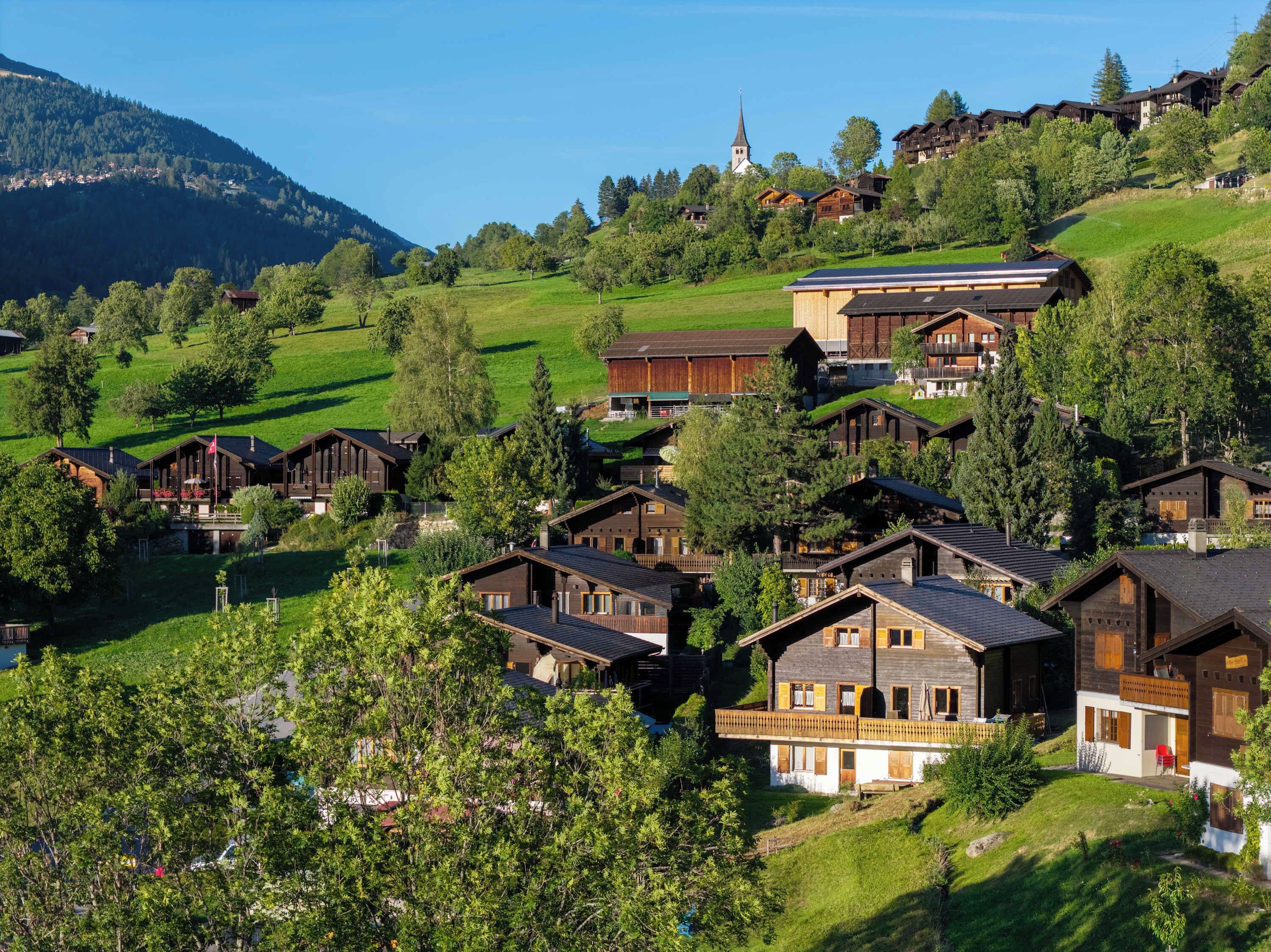 A cluster of traditional wooden houses with sloped roofs, surrounded by lush greenery and a mountain backdrop.