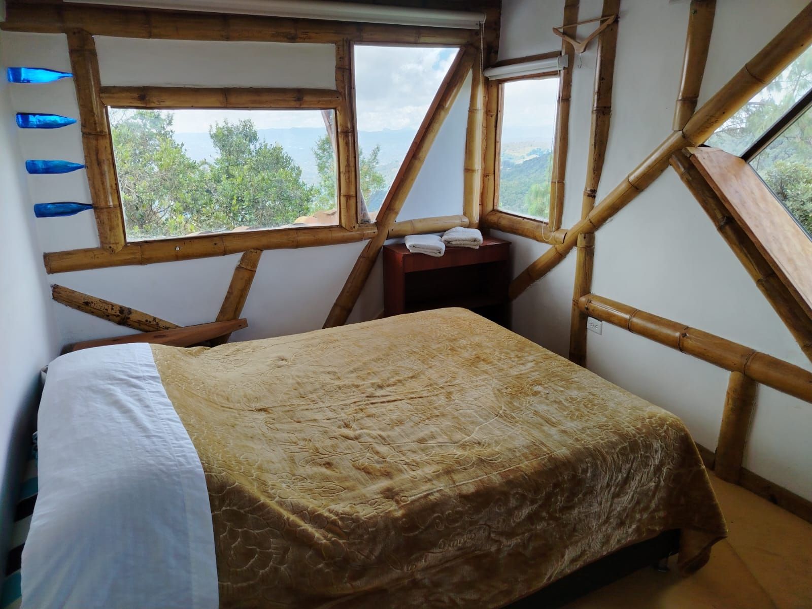 A room with a bed, two windows, and a view of greenery.