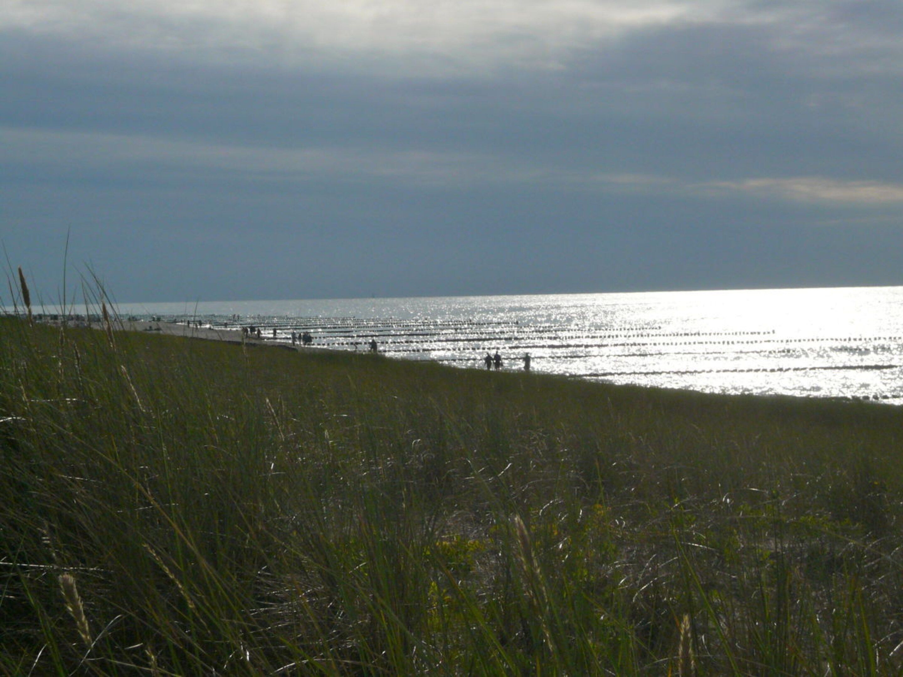 A coastal landscape with a grassy foreground leading to a beach with people in the distance.